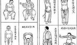 八段锦视频口令,轻松养生，健康生活新体验