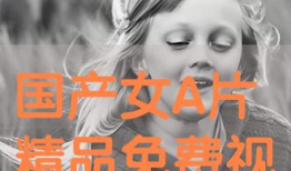 a三级视频,深度解析其内容与影响